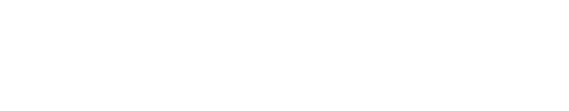 Petrobras Logo White
